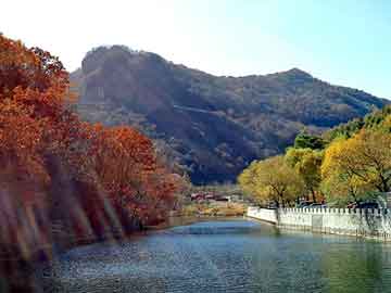 新澳门二四六天天开奖，丰田大水牛